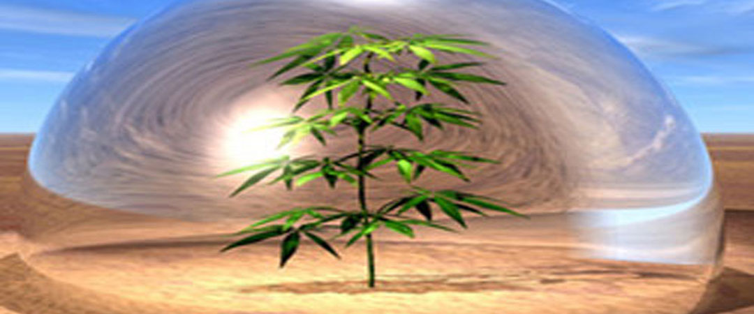 Managemen Lingkungan